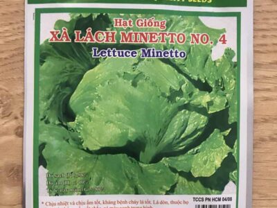 Hạt giống rau xà lách Minetto