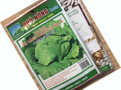 Hạt giống rau xà lách Minetto