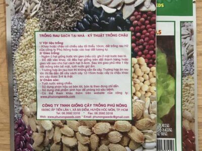 Hạt giống xà lách búp Thảo Nguyên