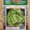 Hạt giống xà lách búp Thảo Nguyên