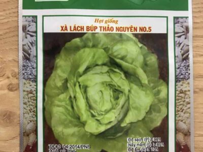 Hạt giống xà lách búp Thảo Nguyên