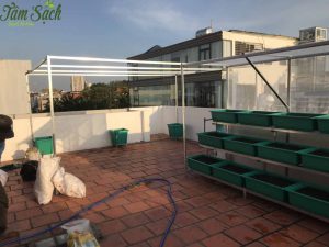 Kệ trồng rau tại nhà