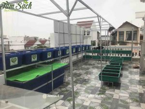 Lắp đặt hệ thống aquaponics