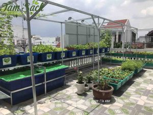 Lắp đặt hệ thống aquaponics