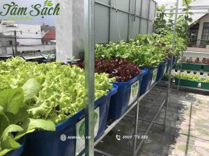 Lắp đặt hệ thống aquaponics