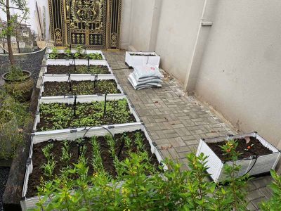 Chậu ghép thông minh