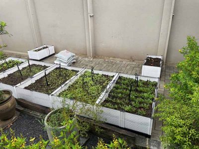 Chậu ghép thông minh