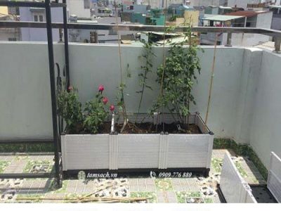 Chậu ghép thông mình trồng rau sạch