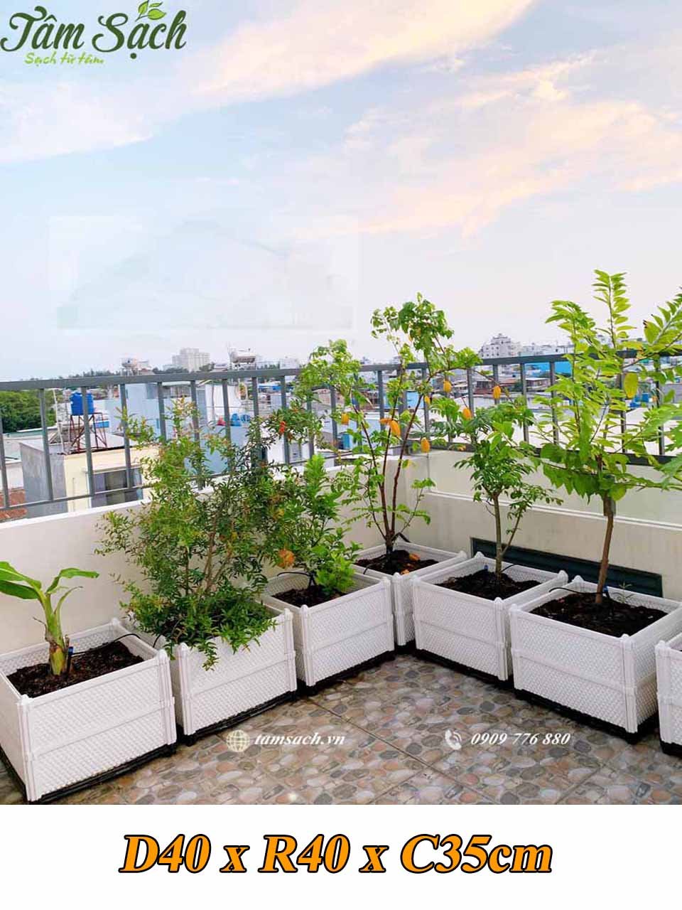 Chậu ghép thông mình trồng rau sạch