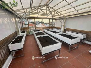 Thiết kế chậu ghép phù hợp