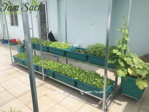Kệ trồng rau 2 tầng