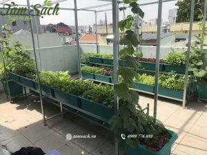 Kệ trồng rau 2 tầng