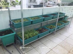 Kệ trồng rau 2 tầng