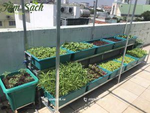Nếu không có ai làm thì anh cứ nhắn em
