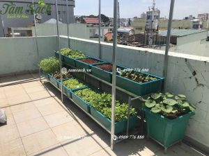 Nếu không có ai làm thì anh cứ nhắn em