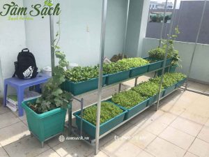 Kệ trồng rau 2 tầng