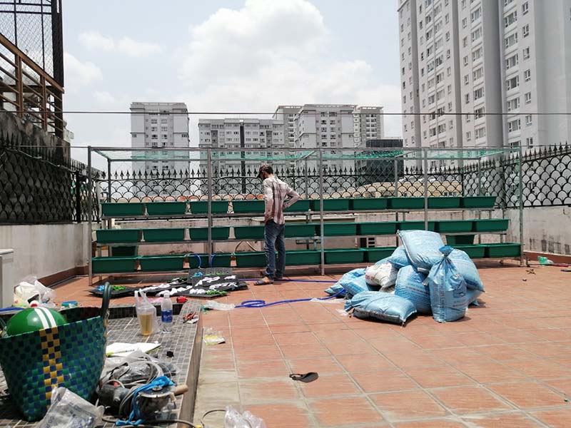 Giàn trồng rau trên sân thượng