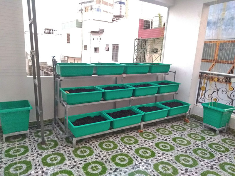 Kệ trồng rau tại nhà