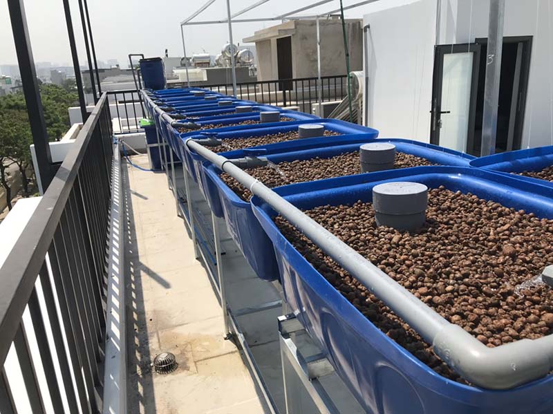 Mô hình Aquaponics mini