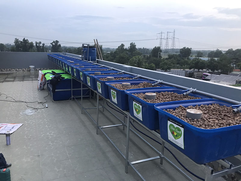 Mô hình Aquaponics mini
