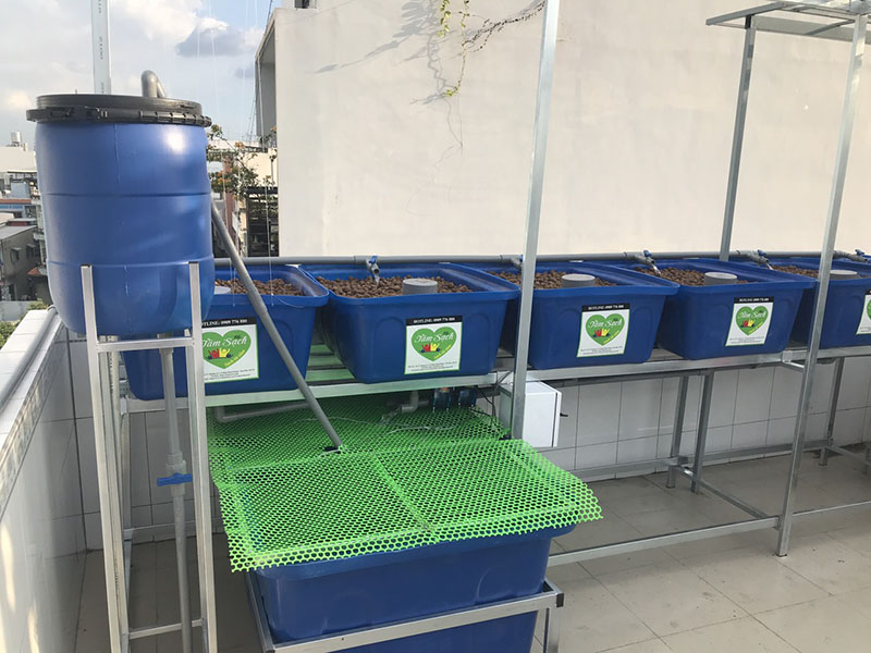 Mô hình Aquaponics mini