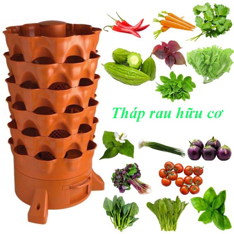 Mô hình rau sạch tại nhà