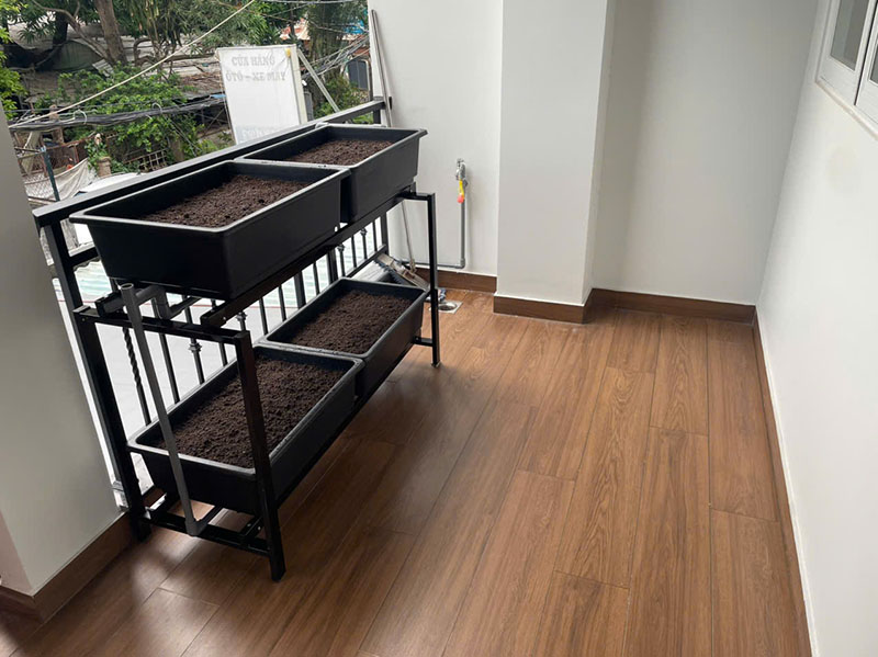 Trồng rau trên ban công nhỏ