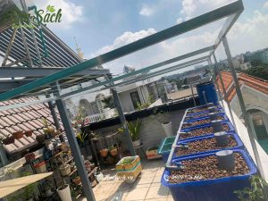 hệ aquaponics trồng rau nuôi cá