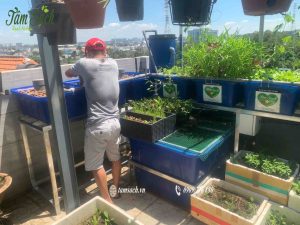 mô hình aquaponics