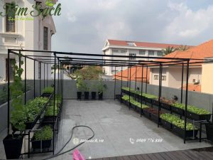 vườn rau thổ canh