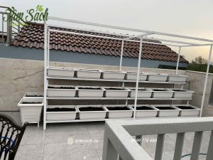 kệ 3 tầng trồng rau sân thượng có giàn leo