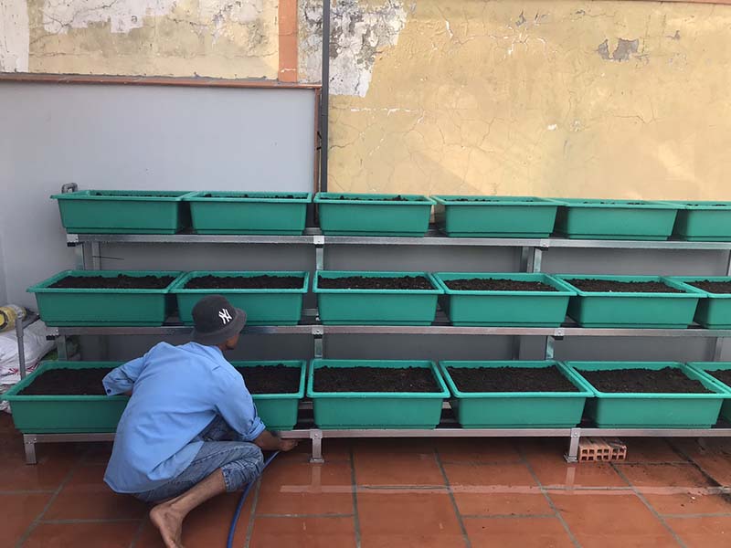 Cách chăm sóc vườn rau