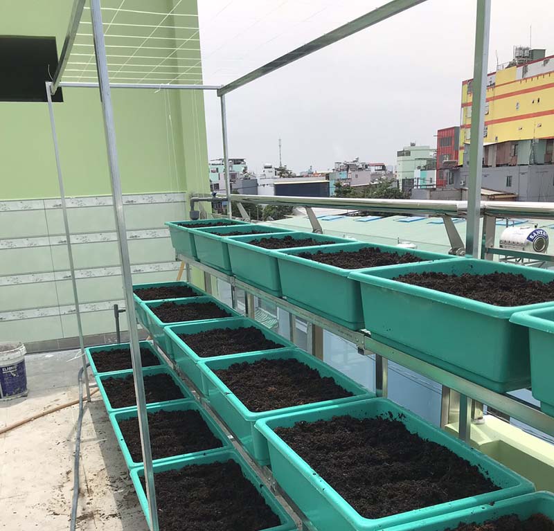 Cách chăm sóc vườn rau