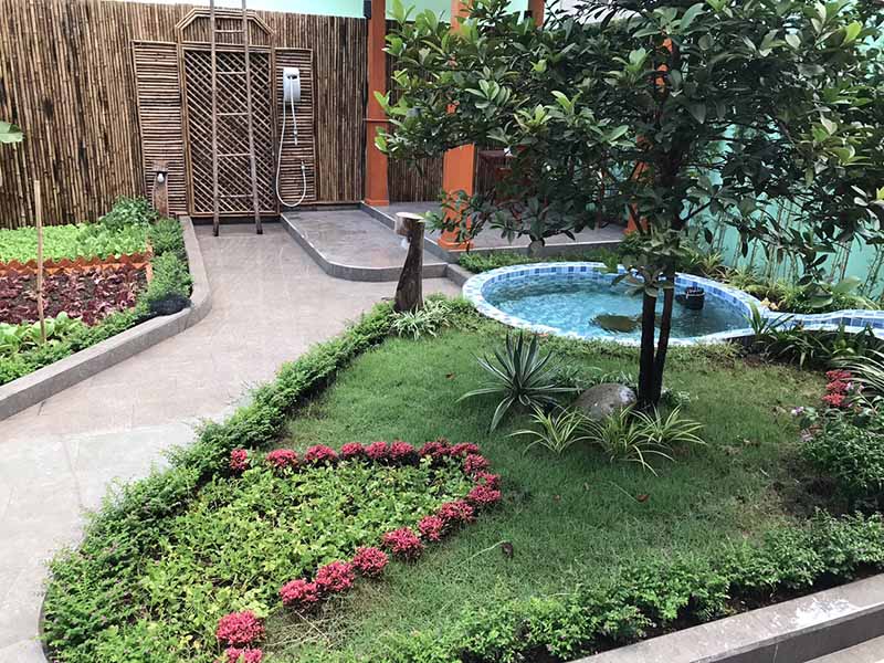 Thi công vườn rau sạch 100m2 tại Bình Dương