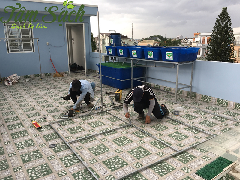 Thi công vườn rau sạch tại Biên Hòa