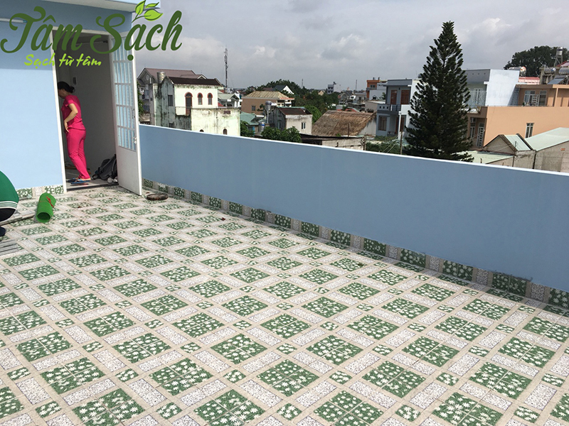 Thi công vườn rau sạch tại Biên Hòa