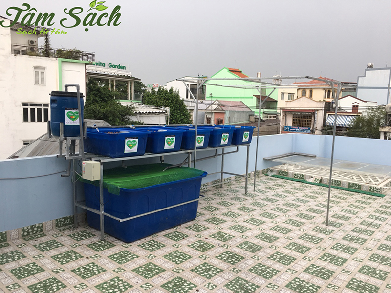 Thi công vườn rau sạch tại Biên Hòa