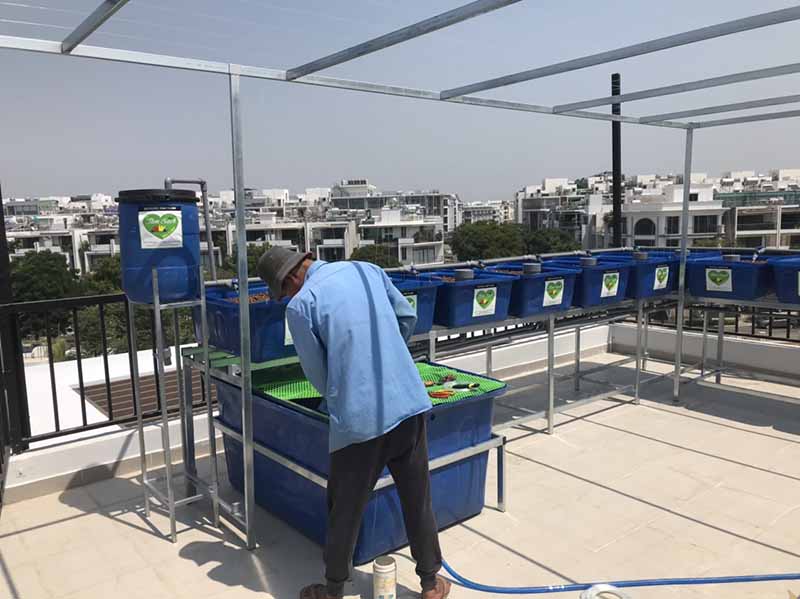 Thi công vườn rau sạch Đồng Nai