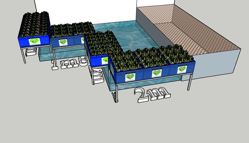 Thi công vườn rau sạch Đồng Nai