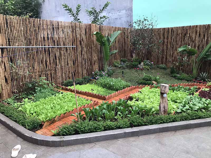 Thi công vườn rau sạch tại Bình Dương