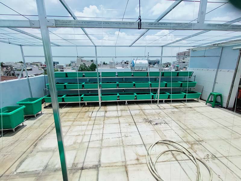 Trồng rau sạch Đồng Nai