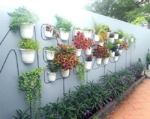 Hệ thống tưới tự động