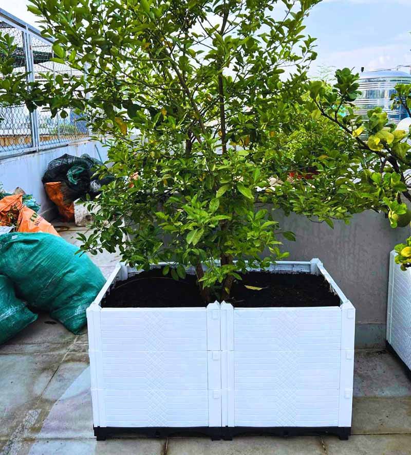 Lắp đặt chậu ghép hiệu quả