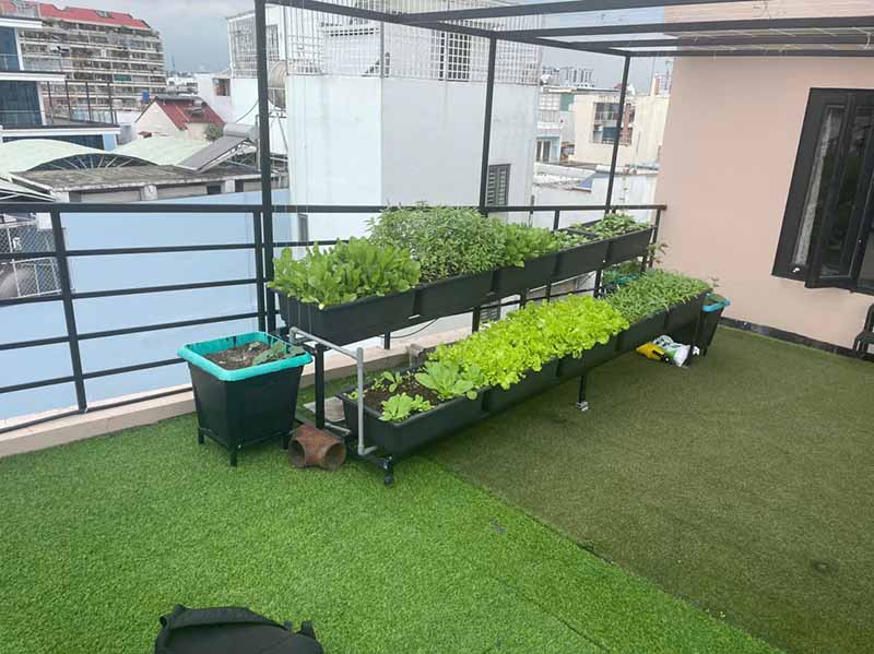 Trải nghiệm dịch vụ chăm sóc vườn rau