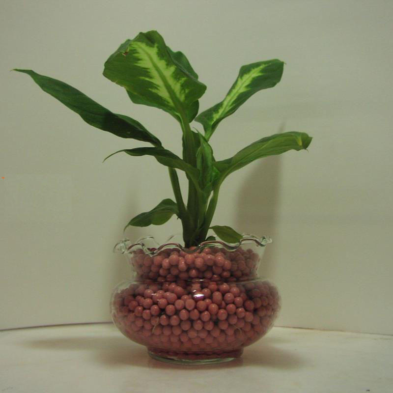 Ứng dụng đất sét nung