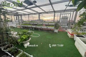 Sân thượng “lột xác” thành khu vườn rau tại nhà lý tưởng