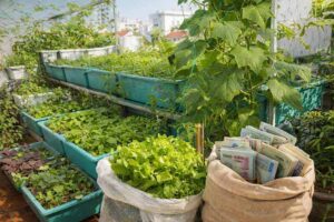 Trồng rau sạch tại nhà đắt hay rẻ