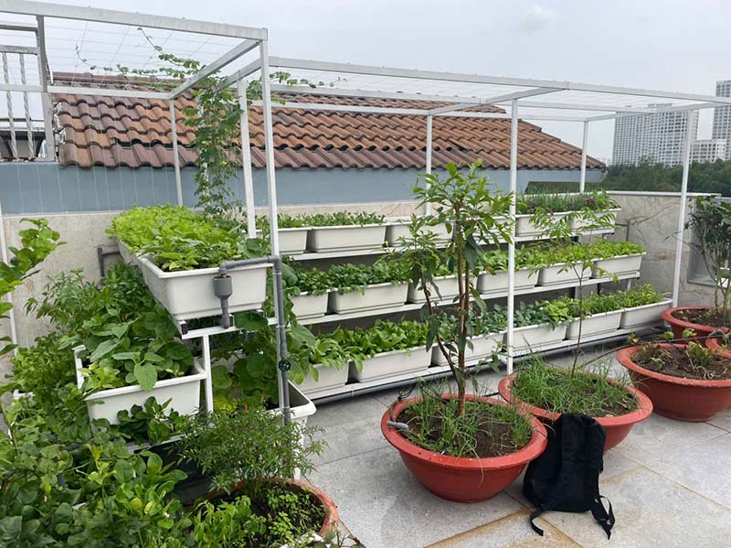 Tự thi công vườn rau sân thươnggj