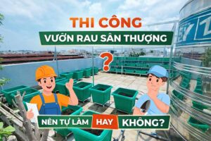 Tự thi công vườn rau sân thượng