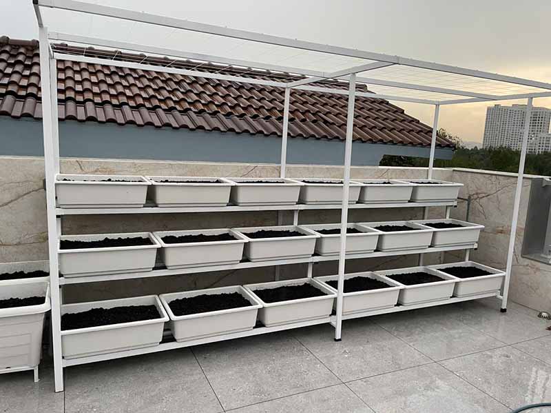 Thi công vườn rau tại nhà